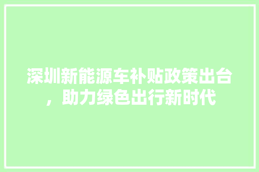 深圳新能源车补贴政策出台，助力绿色出行新时代