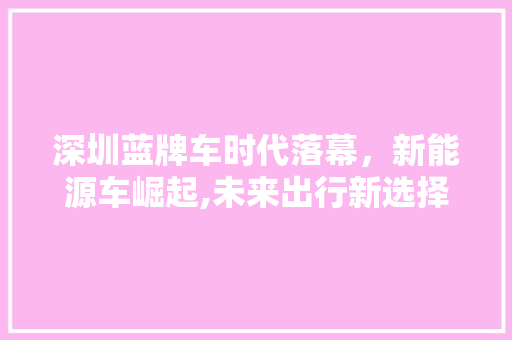 深圳蓝牌车时代落幕，新能源车崛起,未来出行新选择