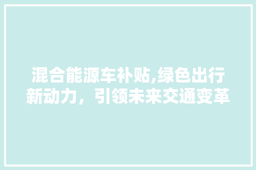 混合能源车补贴,绿色出行新动力，引领未来交通变革