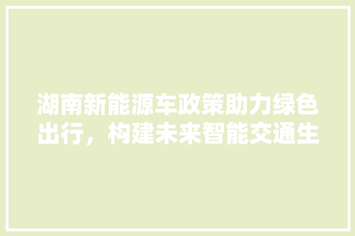 湖南新能源车政策助力绿色出行，构建未来智能交通生态