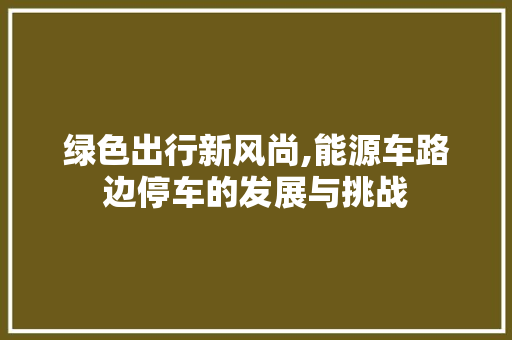 绿色出行新风尚,能源车路边停车的发展与挑战