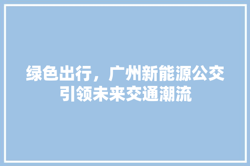 绿色出行，广州新能源公交引领未来交通潮流