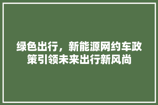 绿色出行，新能源网约车政策引领未来出行新风尚