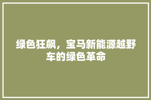 绿色狂飙，宝马新能源越野车的绿色革命