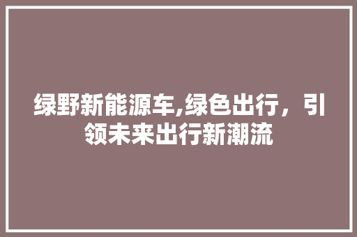 绿野新能源车,绿色出行，引领未来出行新潮流