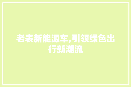 老表新能源车,引领绿色出行新潮流