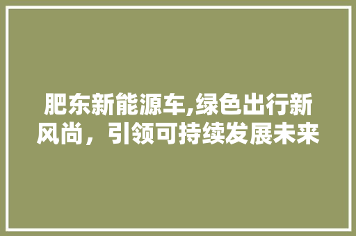 肥东新能源车,绿色出行新风尚，引领可持续发展未来