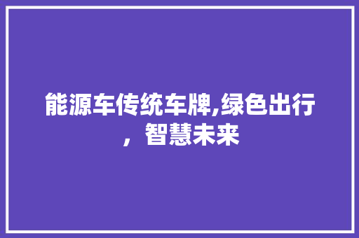 能源车传统车牌,绿色出行，智慧未来 车载导航