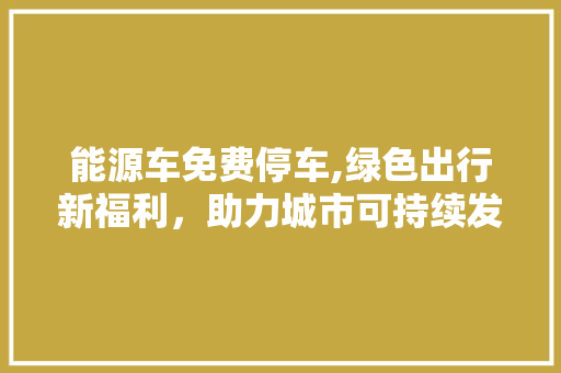 能源车免费停车,绿色出行新福利，助力城市可持续发展