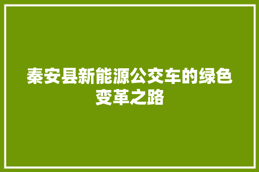 秦安县新能源公交车的绿色变革之路