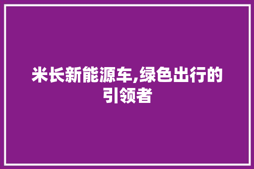 米长新能源车,绿色出行的引领者