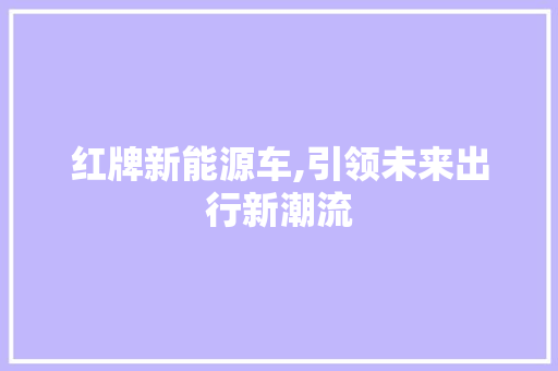 红牌新能源车,引领未来出行新潮流