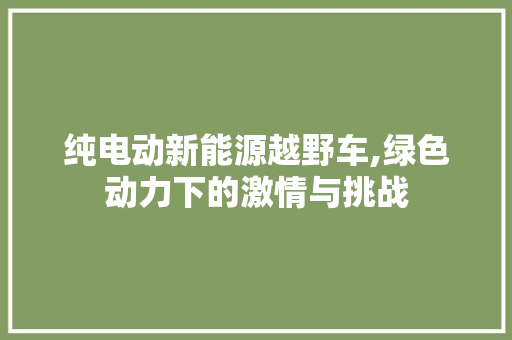 纯电动新能源越野车,绿色动力下的激情与挑战