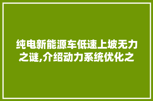 纯电新能源车低速上坡无力之谜,介绍动力系统优化之路