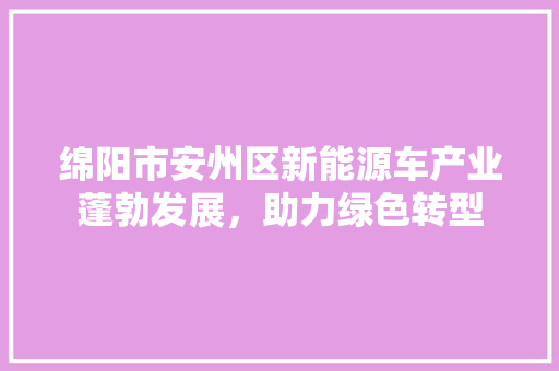 绵阳市安州区新能源车产业蓬勃发展，助力绿色转型