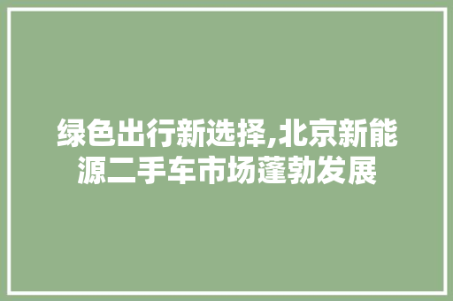绿色出行新选择,北京新能源二手车市场蓬勃发展 智能驾驶