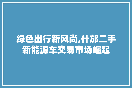 绿色出行新风尚,什邡二手新能源车交易市场崛起