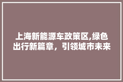 上海新能源车政策区,绿色出行新篇章，引领城市未来 新车资讯