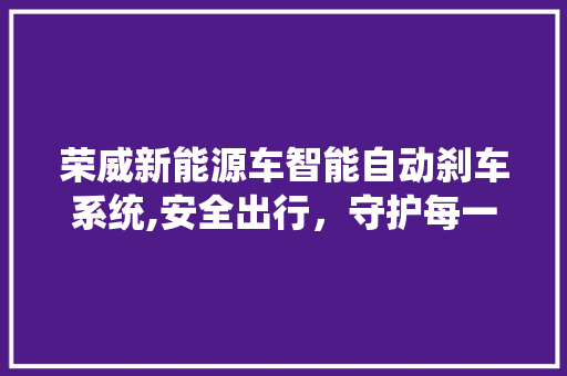 荣威新能源车智能自动刹车系统,安全出行，守护每一刻