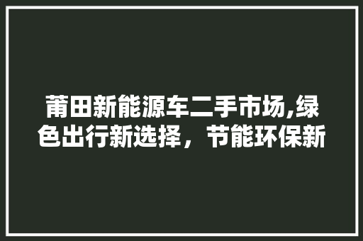 莆田新能源车二手市场,绿色出行新选择，节能环保新风尚