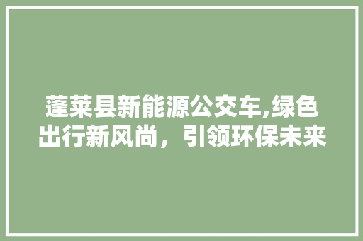蓬莱县新能源公交车,绿色出行新风尚，引领环保未来