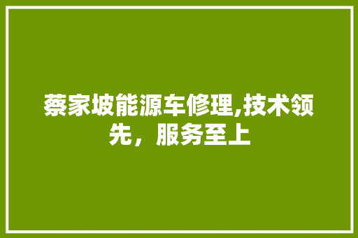蔡家坡能源车修理,技术领先，服务至上