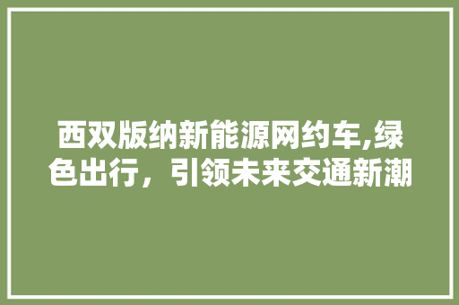 西双版纳新能源网约车,绿色出行，引领未来交通新潮流