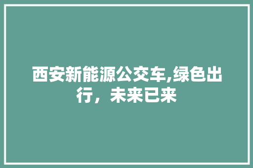 西安新能源公交车,绿色出行，未来已来 智能驾驶