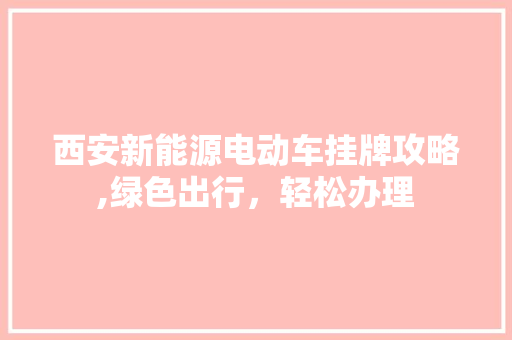 西安新能源电动车挂牌攻略,绿色出行，轻松办理
