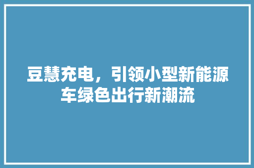 豆慧充电，引领小型新能源车绿色出行新潮流