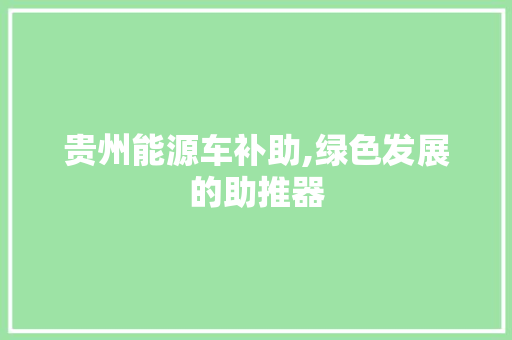 贵州能源车补助,绿色发展的助推器