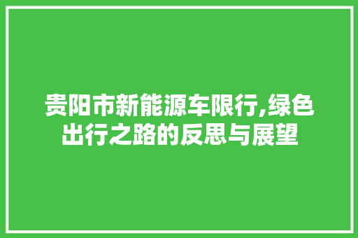 贵阳市新能源车限行,绿色出行之路的反思与展望