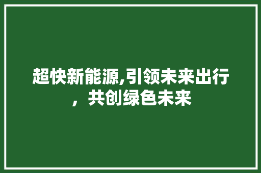 超快新能源,引领未来出行，共创绿色未来