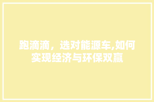 跑滴滴，选对能源车,如何实现经济与环保双赢