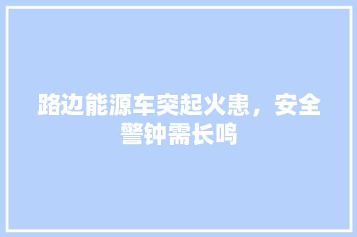 路边能源车突起火患，安全警钟需长鸣