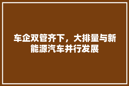车企双管齐下，大排量与新能源汽车并行发展