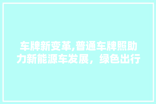 车牌新变革,普通车牌照助力新能源车发展，绿色出行未来可期