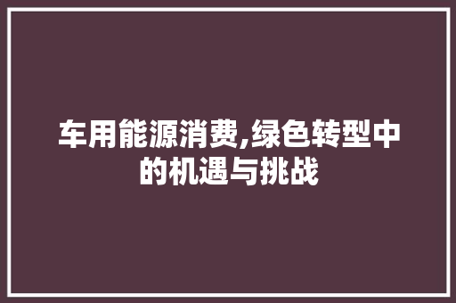 车用能源消费,绿色转型中的机遇与挑战