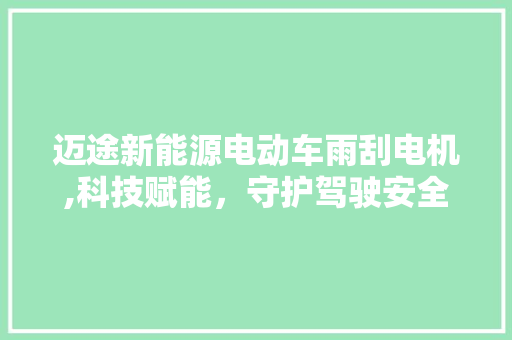 迈途新能源电动车雨刮电机,科技赋能，守护驾驶安全