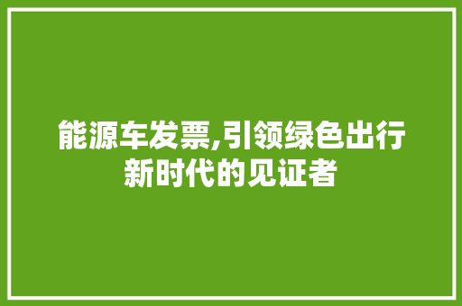 能源车发票,引领绿色出行新时代的见证者