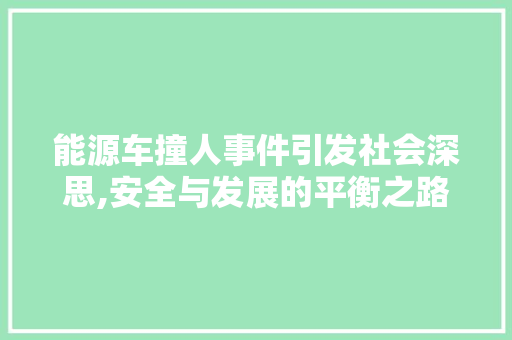 能源车撞人事件引发社会深思,安全与发展的平衡之路