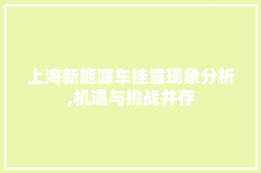 上海新能源车挂靠现象分析,机遇与挑战并存