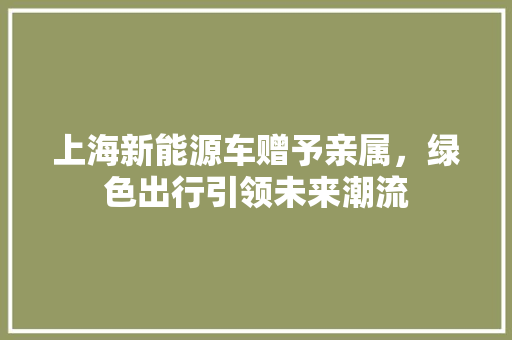 上海新能源车赠予亲属，绿色出行引领未来潮流