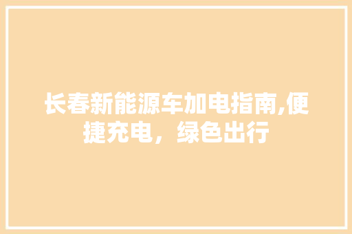 长春新能源车加电指南,便捷充电，绿色出行