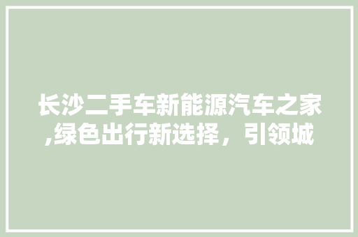 长沙二手车新能源汽车之家,绿色出行新选择，引领城市环保潮流