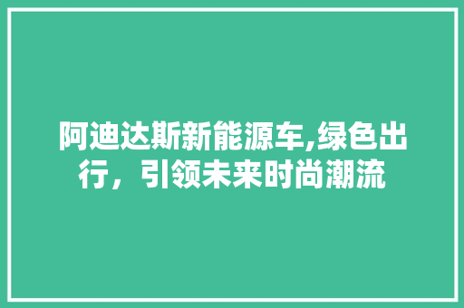 阿迪达斯新能源车,绿色出行，引领未来时尚潮流 新车资讯