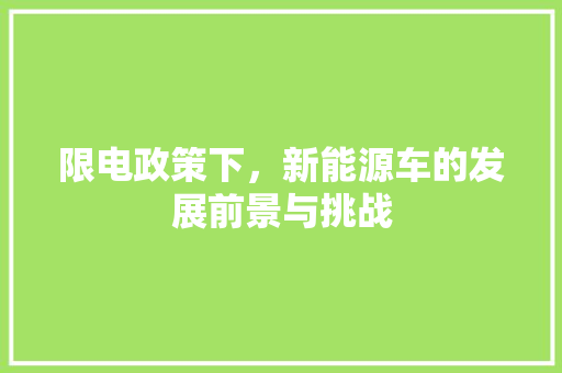 限电政策下，新能源车的发展前景与挑战