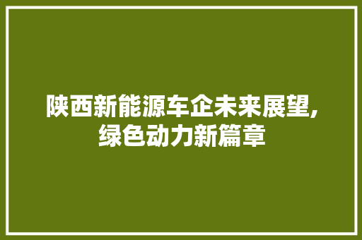 陕西新能源车企未来展望,绿色动力新篇章