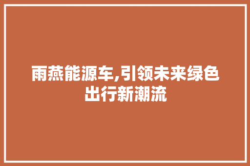 雨燕能源车,引领未来绿色出行新潮流
