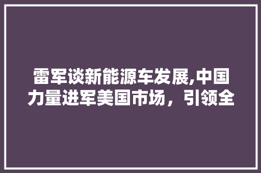 雷军谈新能源车发展,中国力量进军美国市场，引领全球绿色出行新潮流